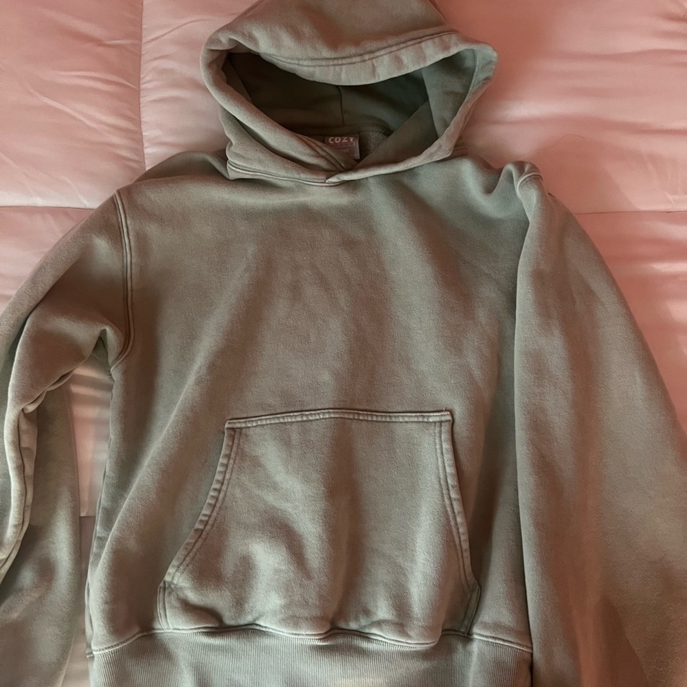 Aritzia sage green hoodie